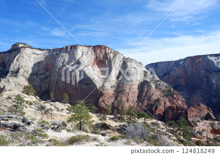 Zion National Park, USA 124818249