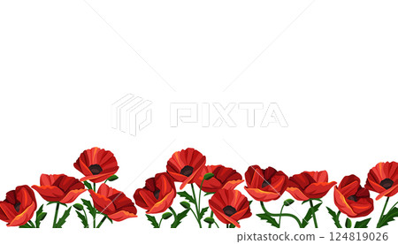 Vector poppy arrangement or poppies field border. Background with red flower. Papaver backdrop or blossom horizontal frame element. Organic and natural banner. Greenery nature decoration. Plant 124819026