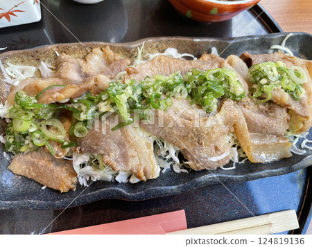 Pork with leek sauce 124819136