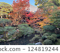 Landscape with autumn leaves 124819244