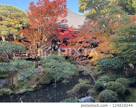 風景與秋天的落葉 124819244