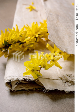 Yellow Forsythia Flowers On Vintage Paper 124819360