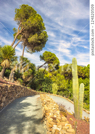 The Historical Botanical Garden La Concepcion in Malaga city at Andalusia, Spain, Europe. Serene garden path winds through lush greenery, stone walls, and towering cacti under a bright, sunny sky. 124820509