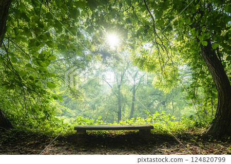 Fresh green background material 124820799