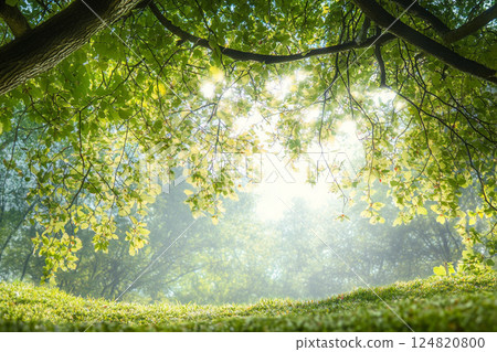 Fresh green background material 124820800