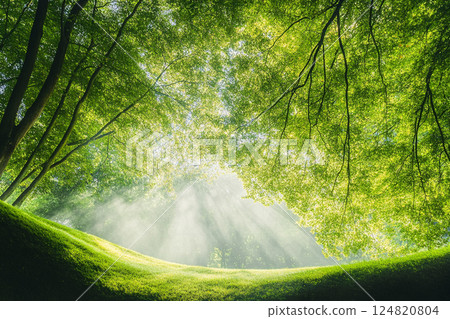 Fresh green background material 124820804