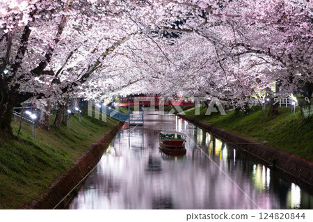 Illuminated cherry blossoms at night and boats floating on the river (Cherry Blossom Line along Gojo River, Oguchicho, Aichi Prefecture) Illuminated cherry blossoms at night and boats floating on the river (Cherry Blossom Line along Gojo River, Oguchicho, Aichi Prefecture) 124820844