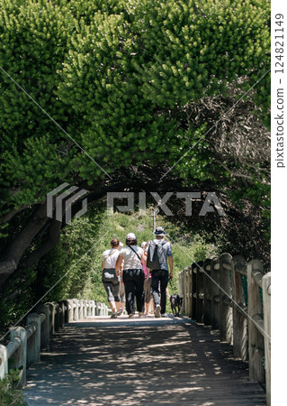 Tree canopy pathway Tree canopy pathway 124821149
