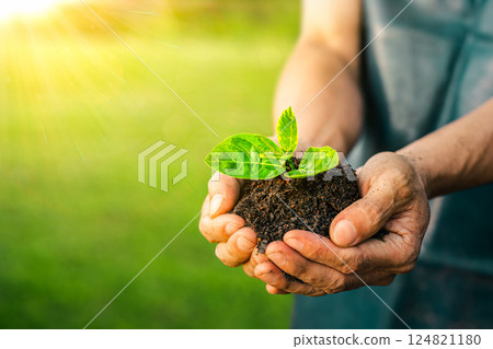 Men hands holding green seedling, sprout over soil. Top view with space for text. Copy space. New life, eco, sustainable living, zero waste, plastic free, earth day, investment concept. Gardening time Men hands holding green seedling, sprout over soil. Top view with space for text. Copy space. New life, eco, sustainable living, zero waste, plastic free, earth day, investment concept. Gardening time 124821180