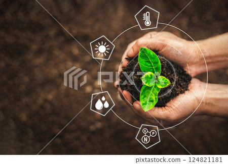 Hand holding plant seedlings are growing from the soil. The seedlings are growing from the soil, along with various icons for the benefits of planting trees, which are shining in the morning. 124821181