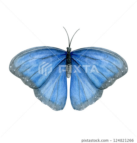Watercolor of blue butterfly isolated on a white background. Good for postcards, invitations, greeting cards, wallpaper, textiles Watercolor of blue butterfly isolated on a white background. Good for postcards, invitations, greeting cards, wallpaper, textiles 124821266