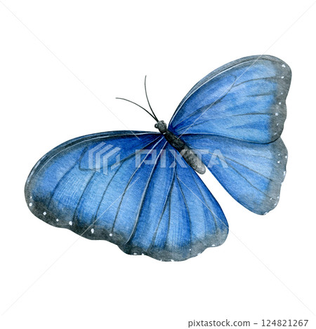 Watercolor of blue butterfly isolated on a white background. Good for postcards, invitations, greeting cards, wallpaper, textiles 124821267