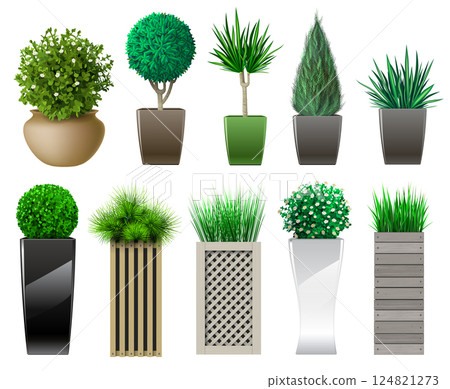 Set of decorative in pots with plants Set of decorative in pots with plants 124821273