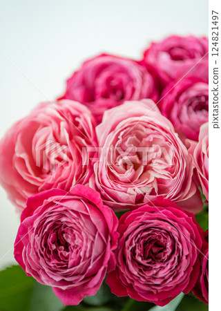 Happy mothers day, romantic still life, Woman's day, greeting card. Happy birthday. delicate pink roses in soft, dreamy light. evokes beauty, love, elegance. pastel tones and blurred background 124821497