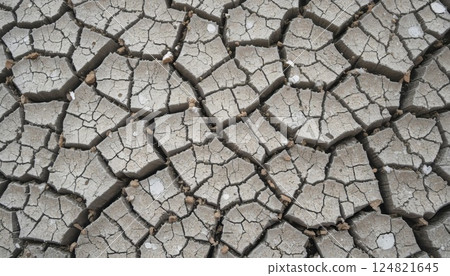 Parched ground texture with intricate web of fissures. 124821645