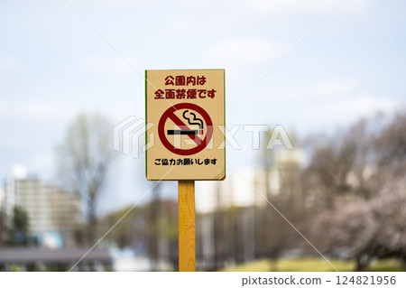 No smoking in the park 124821956