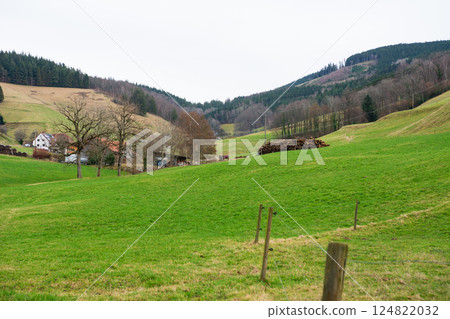 Lush green hills under a cloudy sky with scattered trees and a quaint village in the distance, creating a serene landscape in the heart of the countryside during early spring 124822032
