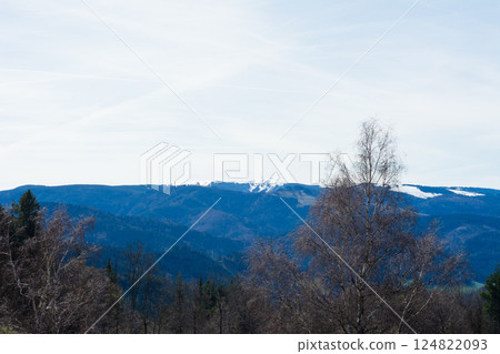 Majestic mountain landscape with snow-capped peaks and serene forest in the distance capturing the beauty of nature on a clear day in spring Majestic mountain landscape with snow-capped peaks and serene forest in the distance capturing the beauty of nature on a clear day in spring 124822093