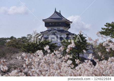 福岡縣北九州的小倉城和盛開的櫻花 124822684