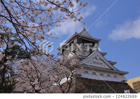 福岡縣北九州的小倉城和盛開的櫻花 福岡縣北九州的小倉城和盛開的櫻花 124822689