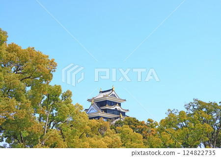 岡山縣岡山市岡山城風景 124822735