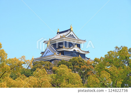 Scenery of Okayama Castle, Okayama City, Okayama Prefecture Scenery of Okayama Castle, Okayama City, Okayama Prefecture 124822736