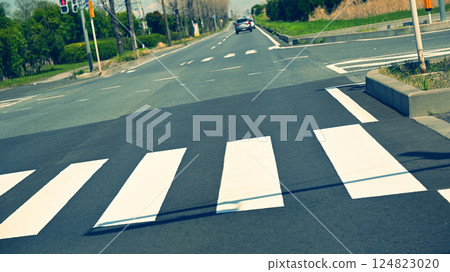 crosswalk crosswalk 124823020