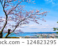 Cherry blossoms and the cityscape of Tateyama (Chiba Prefecture) 124823295