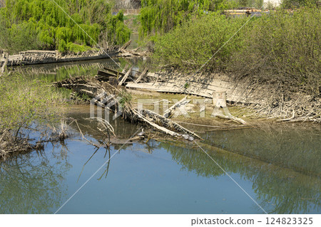The cemetery of the Burci. 124823325