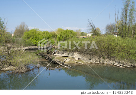 The cemetery of the Burci. The cemetery of the Burci. 124823348