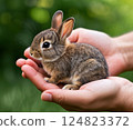 Riding rabbit 124823372