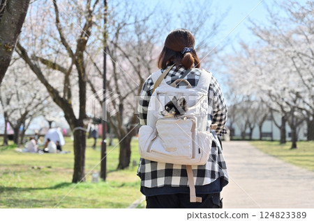 一位女士帶著她的狗在盛開的一排櫻花樹間漫步，她的狗背著狗背包，長毛吉娃娃，春天的材料 124823389