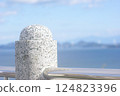Hill with a view of the sea 124823396