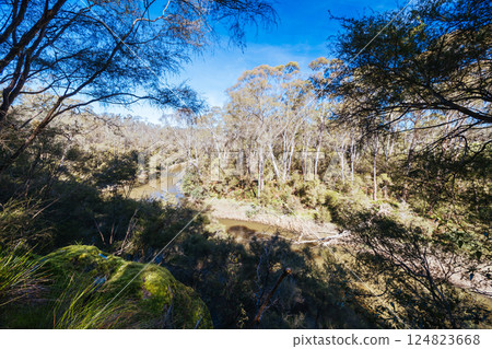 Blue Tongue Bend Walk in Warrandyte Melbourne Australia Blue Tongue Bend Walk in Warrandyte Melbourne Australia 124823668