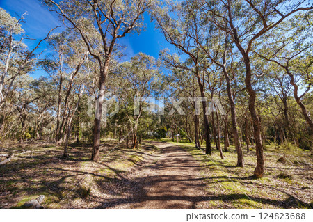 Warrandyte State Reserve in Melbourne Australia Warrandyte State Reserve in Melbourne Australia 124823688