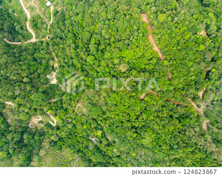 Aerial view nature abundant forest trees,Top view Forest ecosystem concept and background, Texture of green leaves in rainforests, Conservation concept,Natural scenery tropical green forest background 124823867