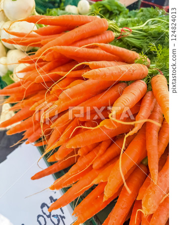 Fresh Carrots with Green Tops at Outdoor Market, Healthy Vegetables, Local Produce. High quality photo 124824013