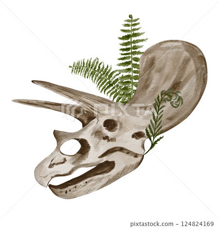 Traceratops dinosaur skull. Fern growing in skeleton. Ancient fossil. Bones and plants. Watercolor illustration without background. Hand drawing. High quality illustration Traceratops dinosaur skull. Fern growing in skeleton. Ancient fossil. Bones and plants. Watercolor illustration without background. Hand drawing. High quality illustration 124824169
