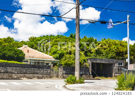 Okinawa scenery 124824185