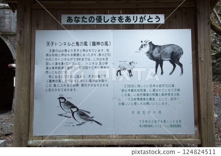 寸又峽 靜岡縣 124824511