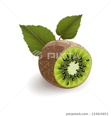 Sliced kiwi with kiwi leaves isolated on white background, realistic vector illustration. Sliced kiwi with kiwi leaves isolated on white background, realistic vector illustration. 124824851