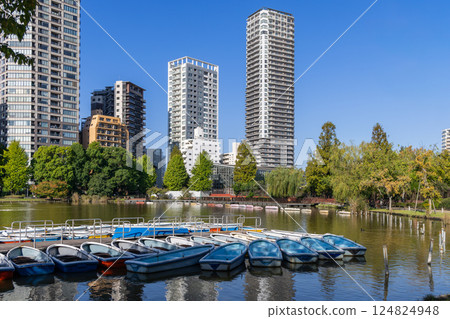 Boats at the dock of Shinobazu Pond in Ueno Park in Tokyo reflecting on the water Boats at the dock of Shinobazu Pond in Ueno Park in Tokyo reflecting on the water 124824948
