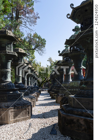 Stone pathway lined with symmetrical bronze lanterns at Ueno Toshogu Shrine in Tokyo, Japan 124824950