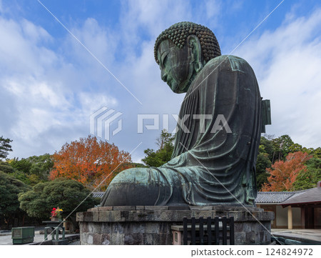 Side profile of the Great Buddha statue at Kotoku-in temple in Kamakura Japan 124824972
