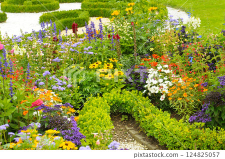 Beautiful garden with a flowers. 124825057