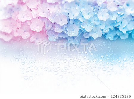 淡色的新鮮繡球花和影印空間 淡色的新鮮繡球花和影印空間 124825189