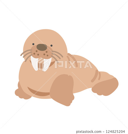 海象插圖 海象插圖 124825204
