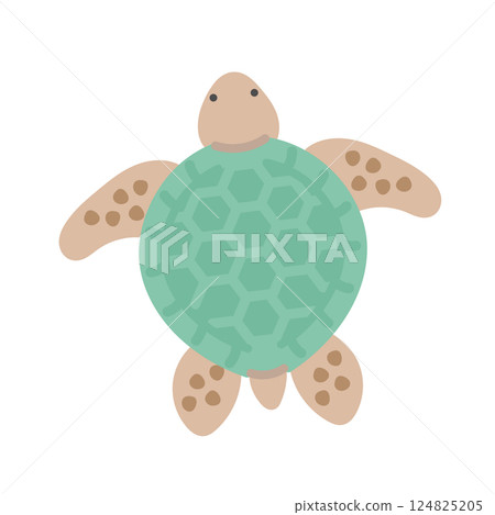 海龜插圖 124825205