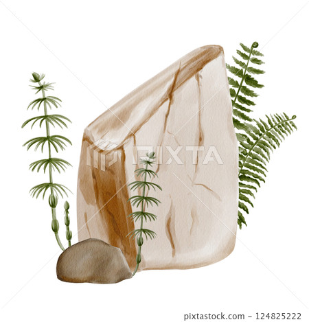Stones and plants. Horsetail and fern grow near stones. Decorative landscape composition. Forest or park. Garden decoration. Watercolor illustration. Hand drawing. High quality illustration 124825222