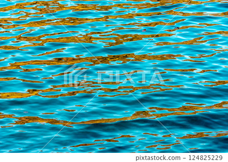 Alpine lake waves with autumn leaves reflection, background full frame 124825229